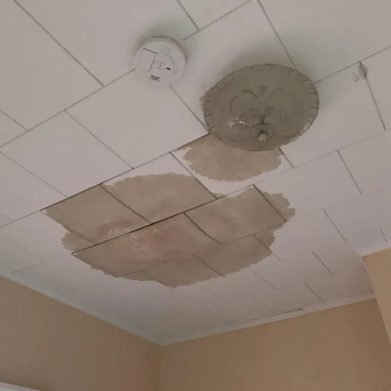 Ceiling Water Damage Repair in Kingfield, ME