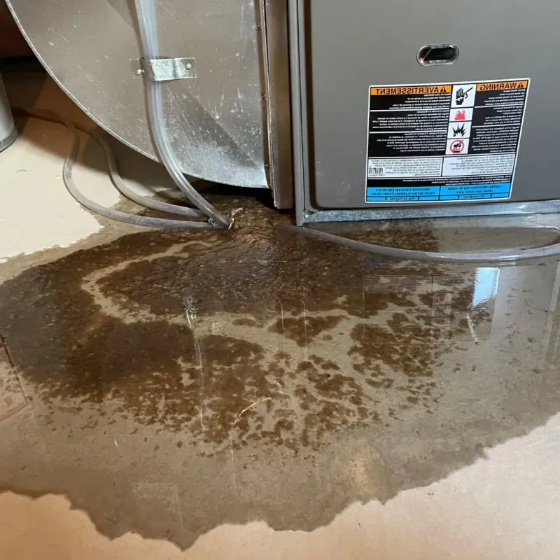 Pipe Burst and Leak Restoration in Kingfield, ME